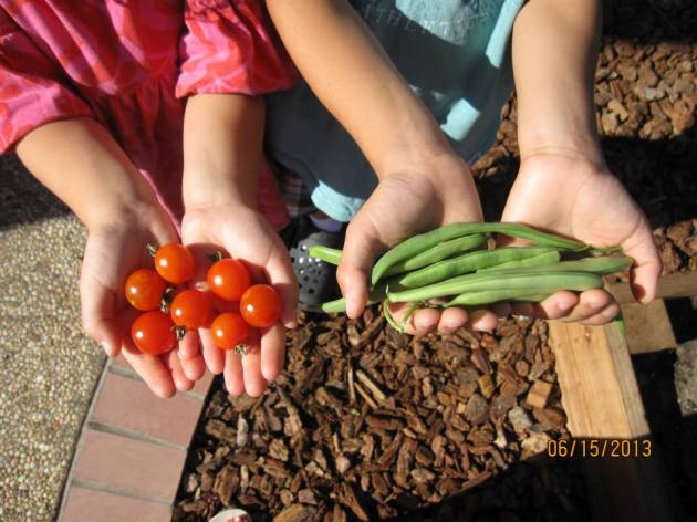 1003980_10200366970391455_76517169_n