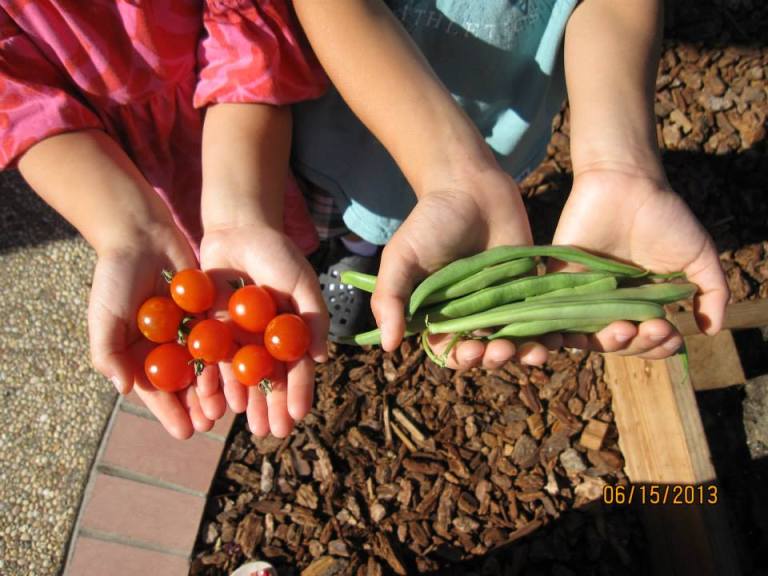 1003980_10200366970391455_76517169_n