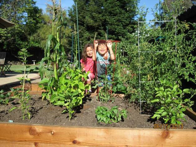 1017181_10200366969871442_1477548050_n