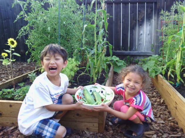 1039738_482117925190350_1022243969_o