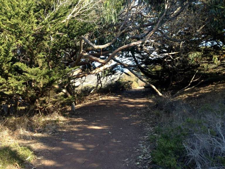 1393875_10200669125755745_2078701329_n