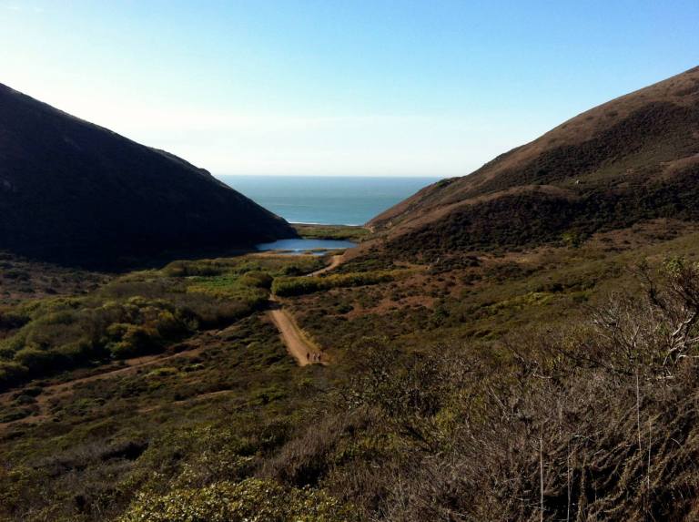 1397827_10153445118725453_701682861_o