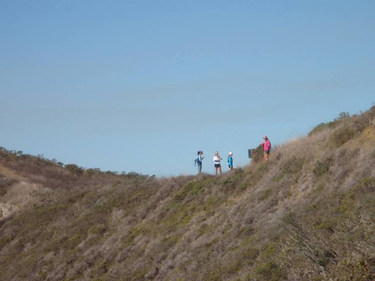 578104_10151999367069110_104758181_n