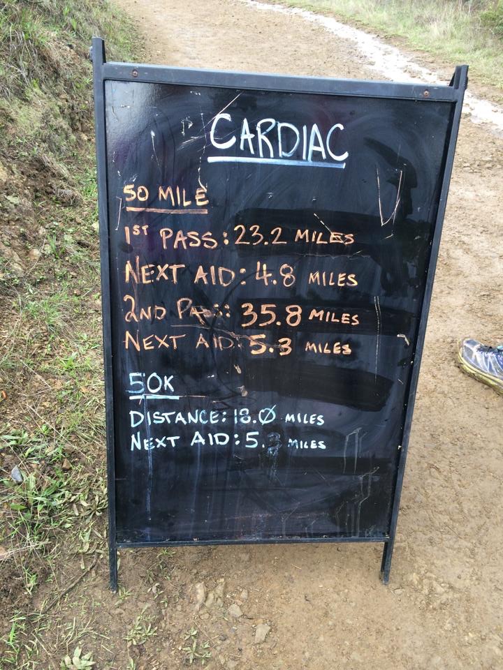 Photo credit: Michelle Sun